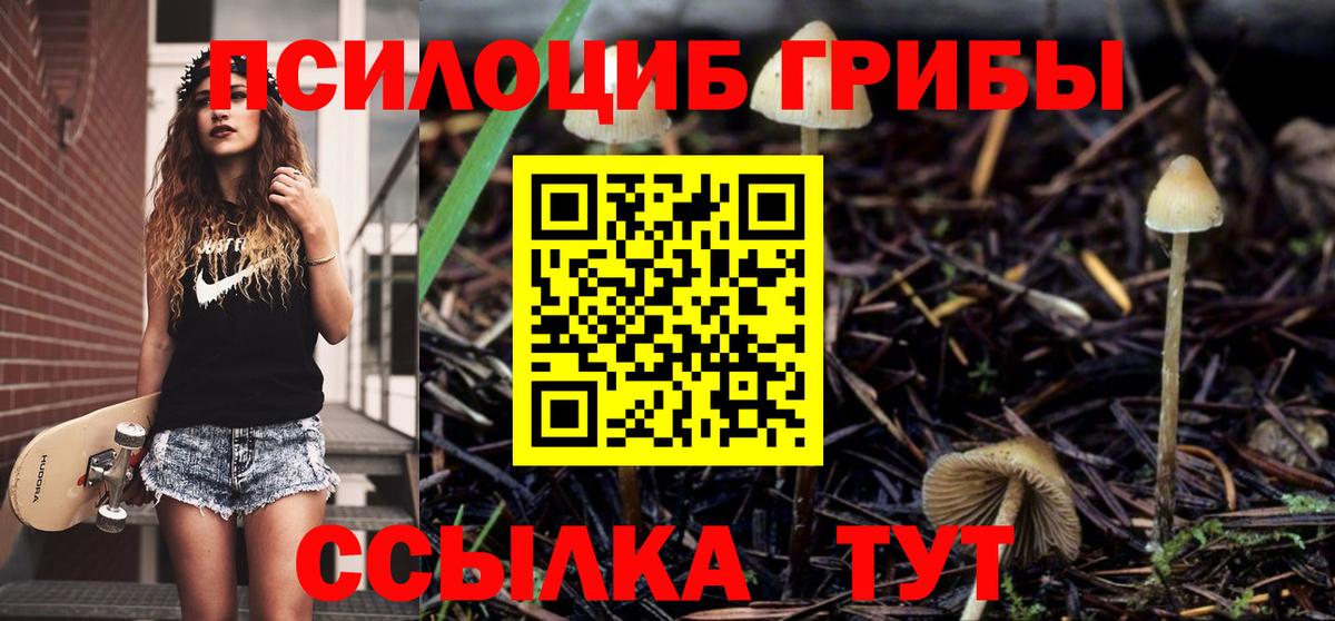 Галлюциногенные грибы мицелий Казань