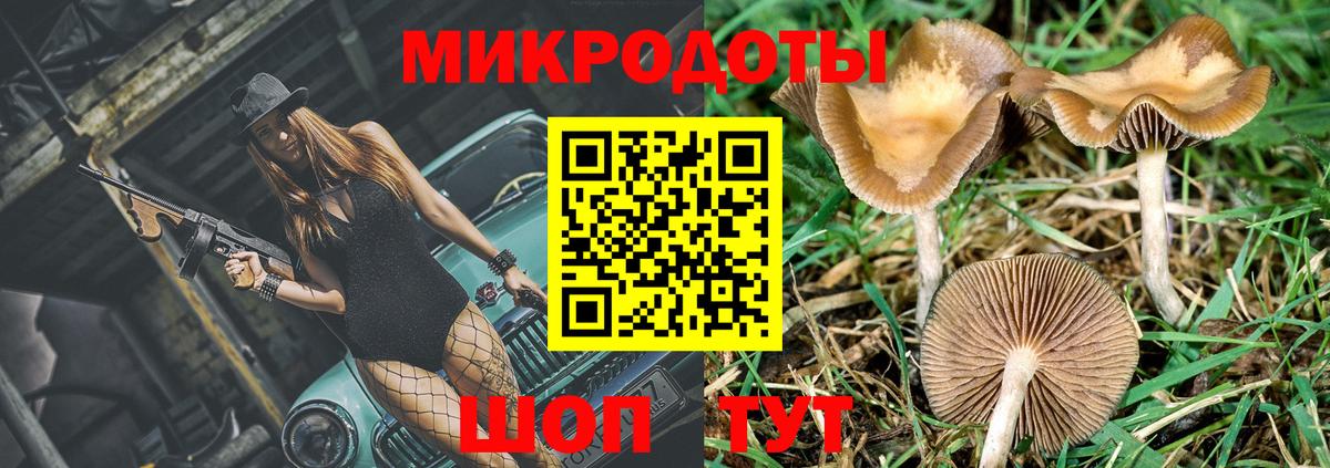 Галлюциногенные грибы Psilocybine cubensis  Вход с VPN  Казань  Псилоцибиновые грибы Psilocybe 